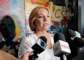 Diputada Shoraya Suárez arremete contra tribunal liberó Alexis Villalona, el abusador de Bani