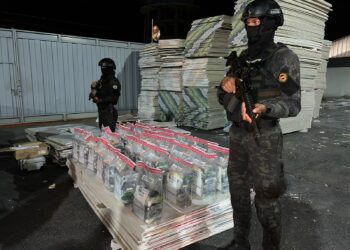 Ocupan 190 paquetes Cocaína  serían enviados a Puerto Rico en planchas de Yeso