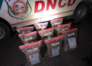 Incautan 50 paquetes presumiblemente Cocaína en Puerto Caucedo