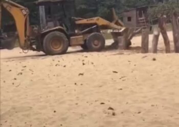 Abren paso a playa El Encuentro en Puerto Plata cerrada con troncos de madera por desaprensivos