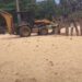 Abren paso a playa El Encuentro en Puerto Plata cerrada con troncos de madera por desaprensivos