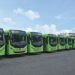 OMSA dispone de 43 autobuses para operativo Semana Santa 2022