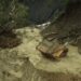Suben a 12 los muertos por avalancha que arrasó un campamento minero en Colombia