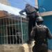 Policía arresta hombre habría estafado ciudadana con 144 mil pesos