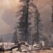 Miles de evacuados en EEUU mientras el fuego en California se extiende