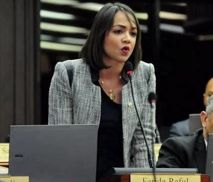 Faride Raful renuncia a vocería del PRM en el Senado