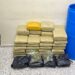 En Santiago Apresan hombre y le ocupan más de 380 libras presumiblemente marihuana