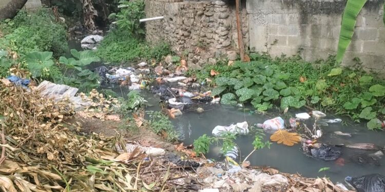 Enfermos e incomunicados habitantes del sector Eduardo Brito en Pedro Brand, por mal estado de cañadas y calles