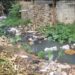 Enfermos e incomunicados habitantes del sector Eduardo Brito en Pedro Brand, por mal estado de cañadas y calles