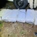 Ocupan cocaína en carga de guineos que sería embarcada a Holanda