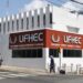 UFHEC estudia convertir el sargazo en biocombustible