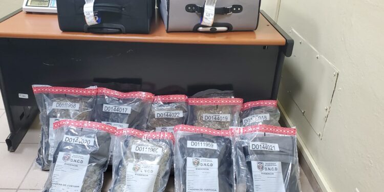 Arrestan extranjero en Aeropuerto del Cibao con 21 paquetes presumiblemente Marihuana