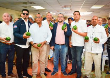 Director FEDA anuncia trabajará en empacadora de aguacates y otros proyectos en San José de Ocoa