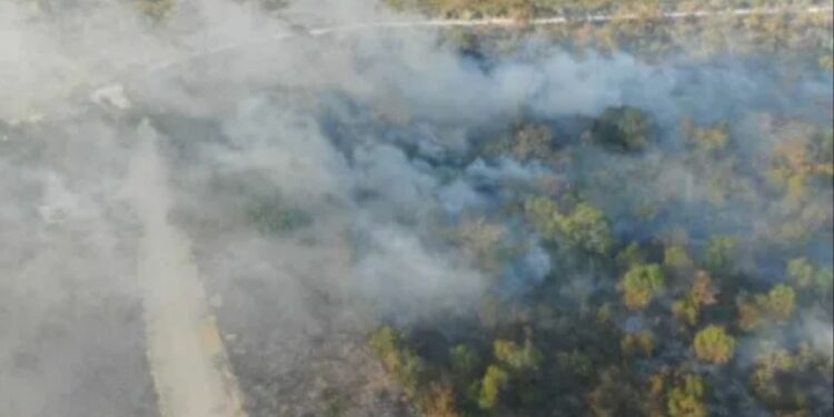 Apresan siete personas por incendios de Punta Cana; bomberos forestales continúan trabajando para sofocarlo