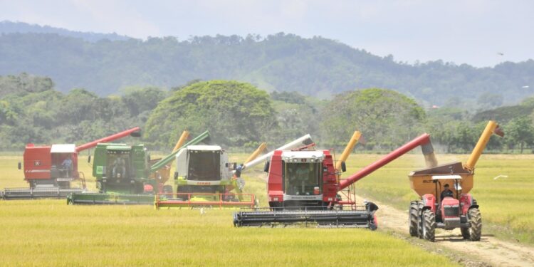 Comisión Arrocera y gobierno dominicano acuerdan banda de precio del arroz sin afectar consumidor