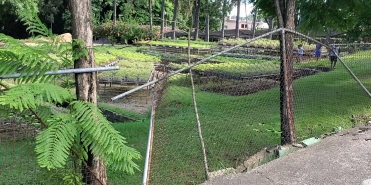 Convertido en guarida de delincuentes Parque Ecológico en Los Alcarrizos , producto de su mal estado