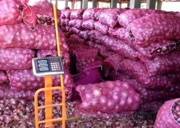 Productores y  comerciantes de cebolla del sur demandan pago de más de 600 millones de pesos en  Agricultura
