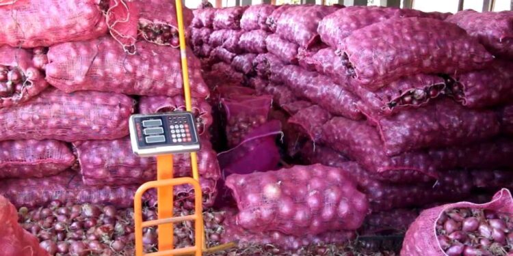 Productores y comerciantes de cebolla del sur demandan pago de más de 600 millones de pesos en Agricultura