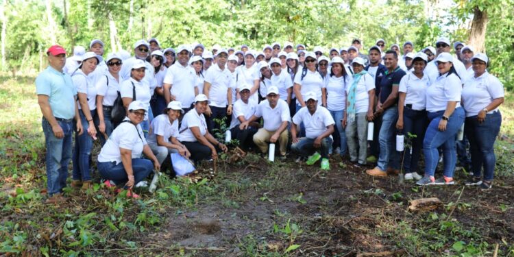 Empleados de Contraloría participan en jornada de reforestación