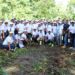 Empleados de Contraloría participan en jornada de reforestación