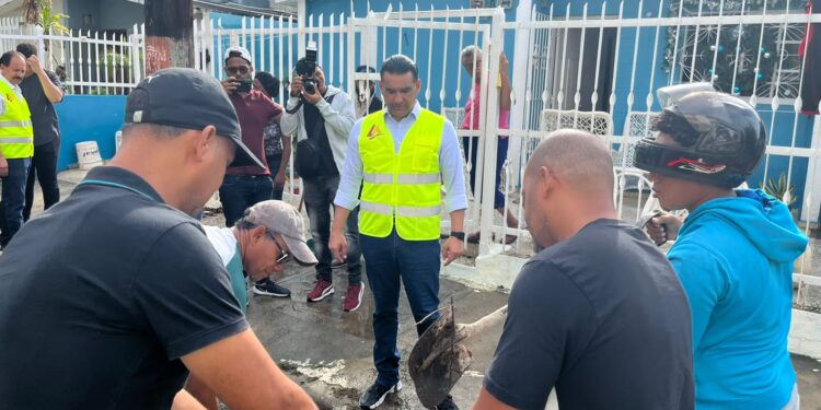 Candidato Alcalde PLD Luis Alberto encabeza jornada de limpieza en SDE