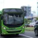 OMSA ofrecerá transporte gratis durante feriado de Año Nuevo; da a conocer horario especial para Fin de año