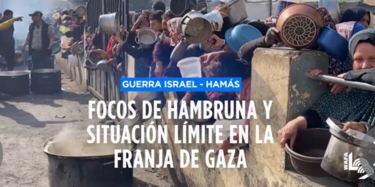 Focos de hambruna dejan a cientos miles de palestinos al borde de la muerte