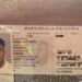 Futbolista Cubano detenido por Migración transitaba sin documentaciones según la institución  y tras ser depurado estaban vencidos sus papeles