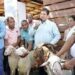DIGEGA entrega padrotes de ovicaprinos, en el marco de la Feria Agropecuaria Nacional 2024