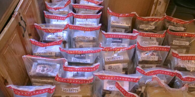Frustran envío de&nbsp; 180 paquetes de cocaina a España camuflados en carga de frutas