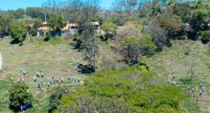 Popular refuerza compromiso ambiental con la segunda jornada de reforestación de 2024