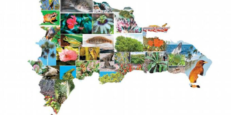 Medio Ambiente: Cenicienta del gobierno y crisis institucional