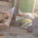 Llena de basuras amanece esquina de Parada Juanita en Los Alcarrizos, alcaldia Junior Santos no pasa por las casas, denuncian