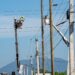 La ETED trabajará en línea 69 kV Pizarrete-Goya, este sábado