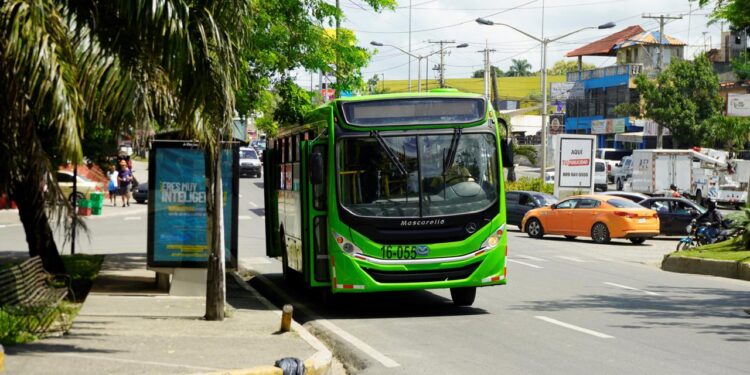 OMSA modificará horarios de servicios desde este lunes 23 diciembre al 7 de enero 2025