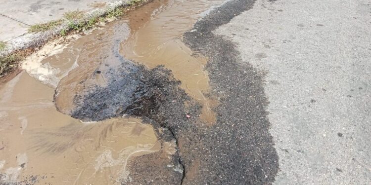Se desperdicia agua potable, por tubería rota en calle San Vicente SDE