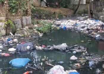 Desbordamiento de cañada en Pedro Brand impide tránsito moradores y amenaza su salud