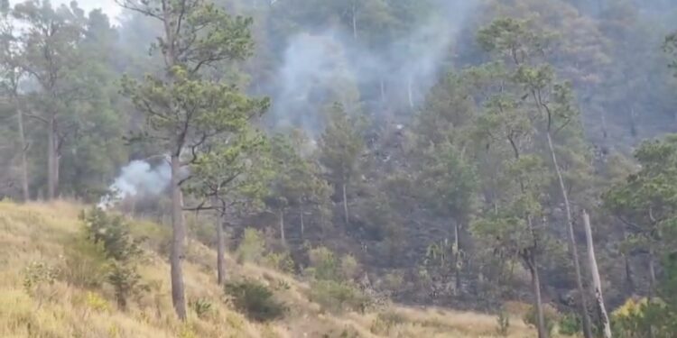 SENPA y Medio Ambiente sofocan en un 100% incendio forestal en Valle Nuevo