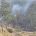 SENPA y Medio Ambiente sofocan en un 100% incendio forestal en Valle Nuevo