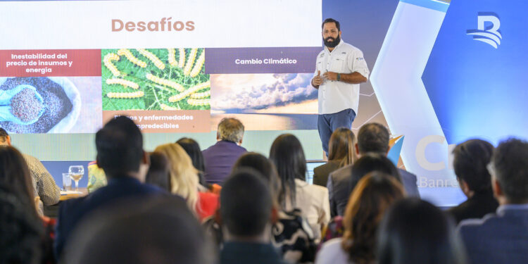 Vuelve Pre-Aceleración CREE Banreservas ahora con respaldo internacional