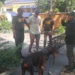 Aplazan para el viernes medida de coerción contra hombre que lanzó una perra desde una torre de la capital