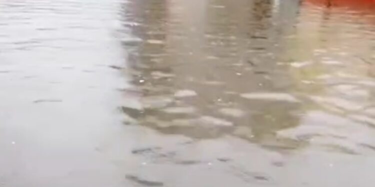 Denuncian cúmulo de agua lluvia en sector Maquiteria Santo Domingo Este, claman por  la ayuda