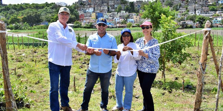 Fundación ExAlumnos Loyola 79 concluye jornada de siembraen Domingo Savio con más de 5,500 árboles nativos