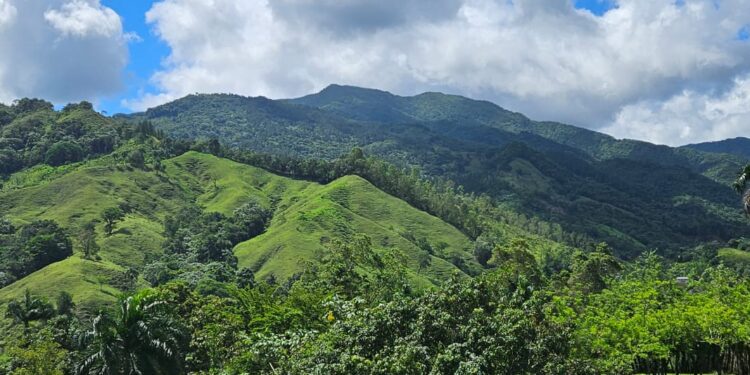 Presentanrán en el mercado internacional el nuevo destino inmobiliario de montañas en RD “Cacao Green Ecoluxury”
