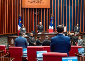 El Senado aprobó a unanimidad en segunda lectura las modificaciones a&nbsp; Ley Orgánica del Código Procesal Penal