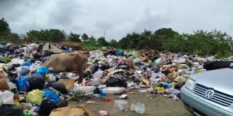 Dirigente comunitario y  miembro de la Direccion Central De la Fuerza del Pueblo, Radhamés García  Denucia basurero improvisado en  cementerio de los alcarrizo