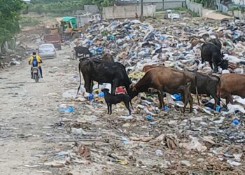 Un depósito de basura es creado en Los Alcarrizos, por la alcaldía, provocando&nbsp; inconvenientes a la comunidad