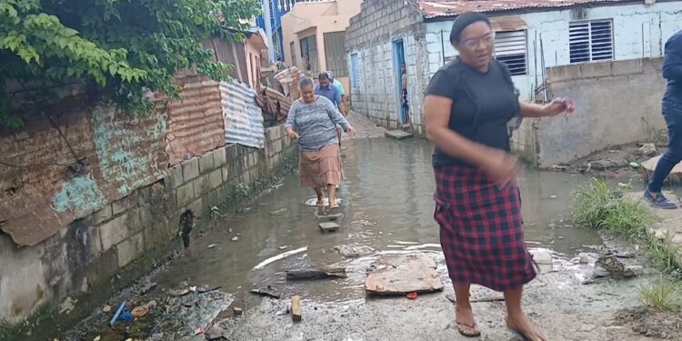 Temor a brote de enfermedad,  en sector Las Piñas, de Los Alcareizo, por cañada en mal estado