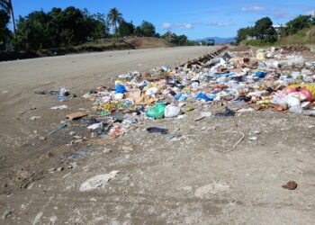 Trabajos de construcción Avenida  Circunvalación  Los Alcarrizos entorpecidos por cúmulos de basuras