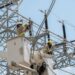 ETED realizará trabajos de mantenimiento programado en líneas 69 kV Dajao–Yamasá–Monte Plata, Palamara–BNV y La Vega–Macorís este sábado